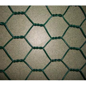 Wire mesh heksagonal dilapisi pvc galvanis yang dicelup panas