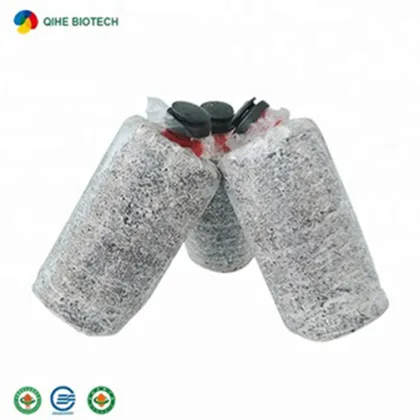 Oyster Mushroom King Spawning