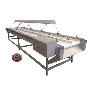 Plum Nuts and Palm Dates Inspection Conveyor for Fruits and Vegetables