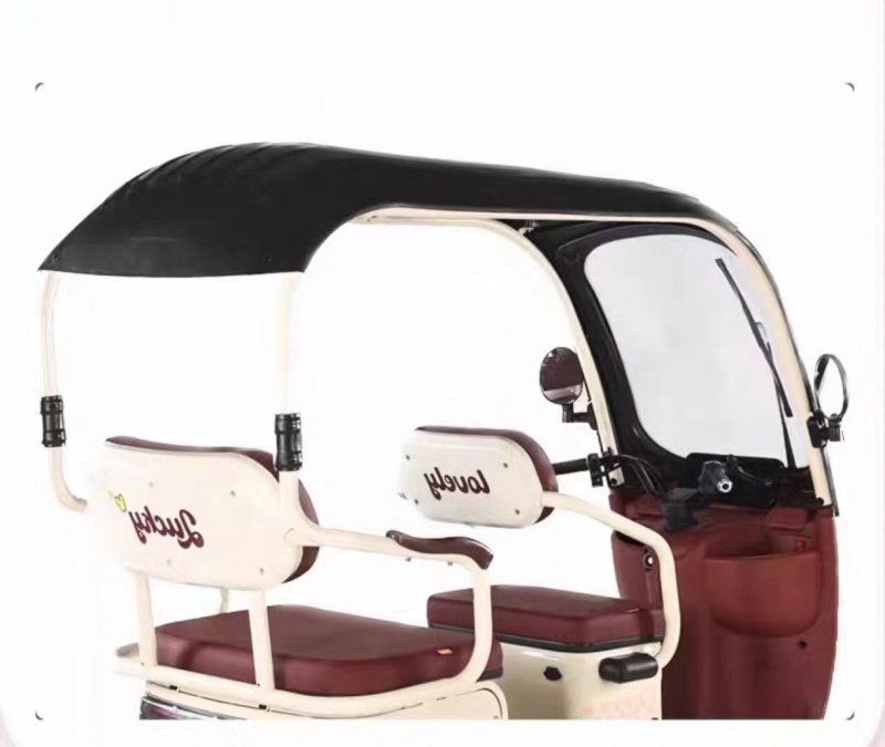 Household commuting Electric leisure tricycle with canopy