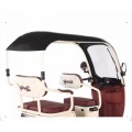 Household commuting Electric leisure tricycle with canopy