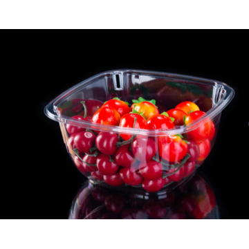 Environmental Protection Small Tomato Tray