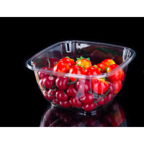 Environmental Protection Small Tomato Tray