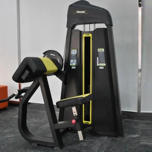 Professional Biceps Curl Machine