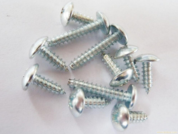 Self Tapping Screw