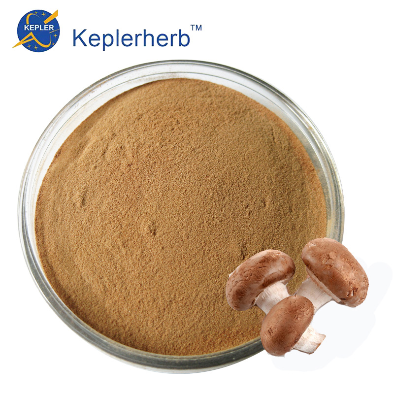 Coriolus Mushroom Extract Powder