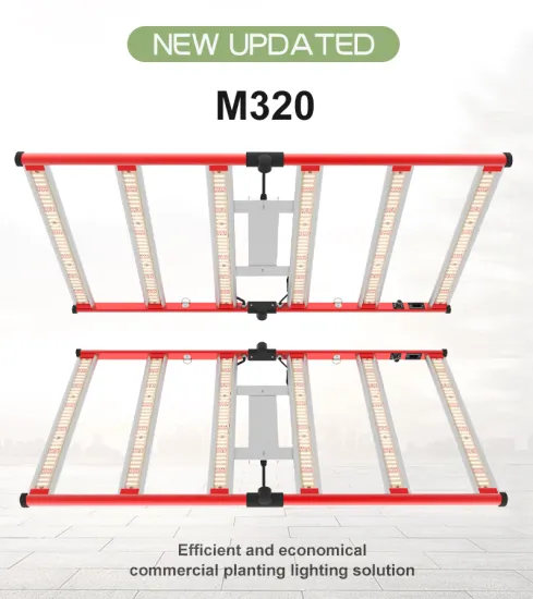 Hydroponic Indoor Plants Veg Flower grow light