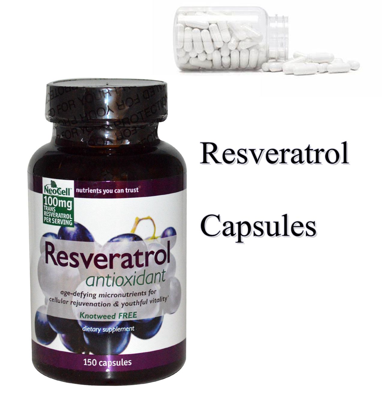 resveratrol 98 powder