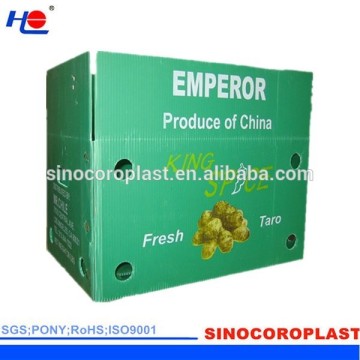 Logistics Packaging Corrugated Plastic Carton Box