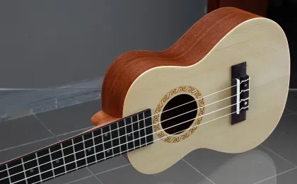 23 inch spruce noodles ukulele