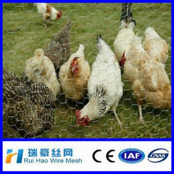 SGS certificated excellent cheap electro galvanized gabion chicken cage/hot-diped galvanized gabion chicken cages2*1*1/4*1*1