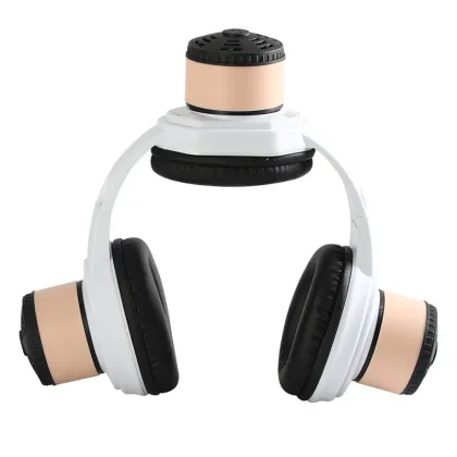 Head and ear moxibustion kit