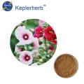 /msite/products/detail/productid/60677799/id/1006086.html