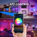 30W RGB LED Smart WiFi Deckenleuchte