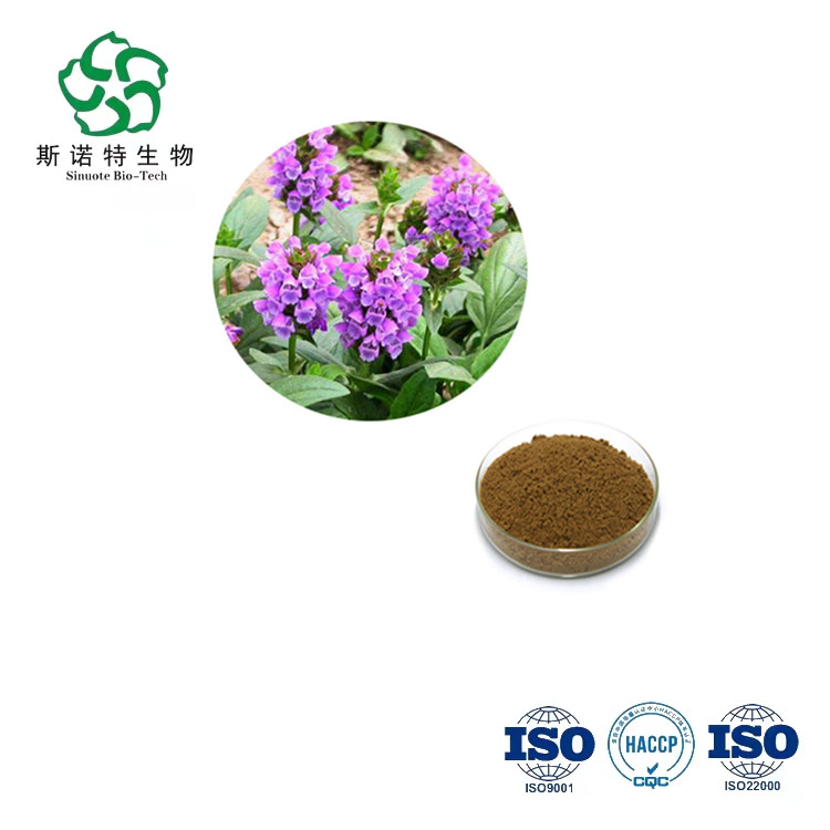 Xia Ku Cao Triterpenoid Saponine Prunella vulgaris Extrakt