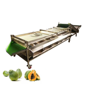 Multifunctional Vegetable and Fruit Sorting Machine: Dates, Garlic, Onion, and Size Grading