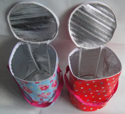 Fashion 210d Cooler Bags 