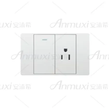 Electric One Switch Gang Socket