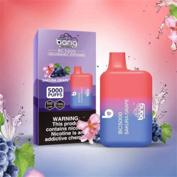 Bang BC5000 Rechargeable Disposable Vape