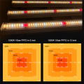 Sistema de crescimento hidroponia em pé cresce luz para a erva