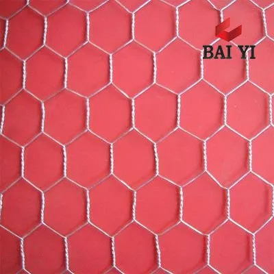 Hot Dipped Galvnaized Hexagonal Wire Mesh(direct factory)