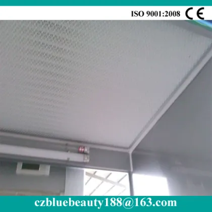 Chemical clean biological safety cabinet