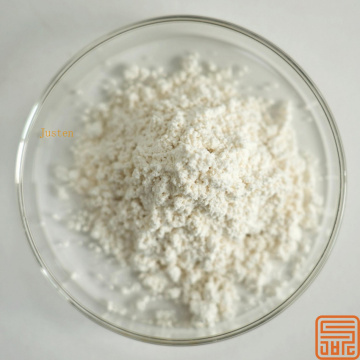 Extracto de astrágalo astragalósido 98%