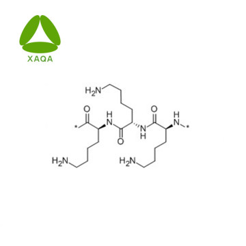 Preserative Polylysine CAS No 25104-18-1 Powder