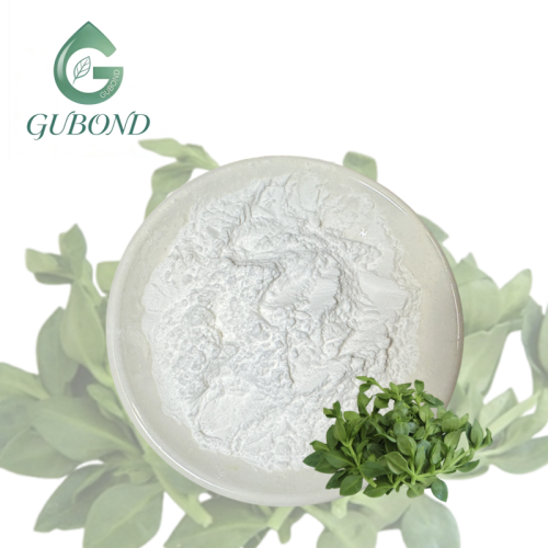 مسحوق أندروجرافوليد لمكونات المكملات الغذائية