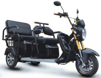 Elderly Cargo Electric Tricycle: Scooters and Three-Wheel Disability Vehicles for Adults