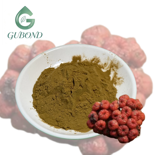 Порошок экстракта эводии для пищевых добавок