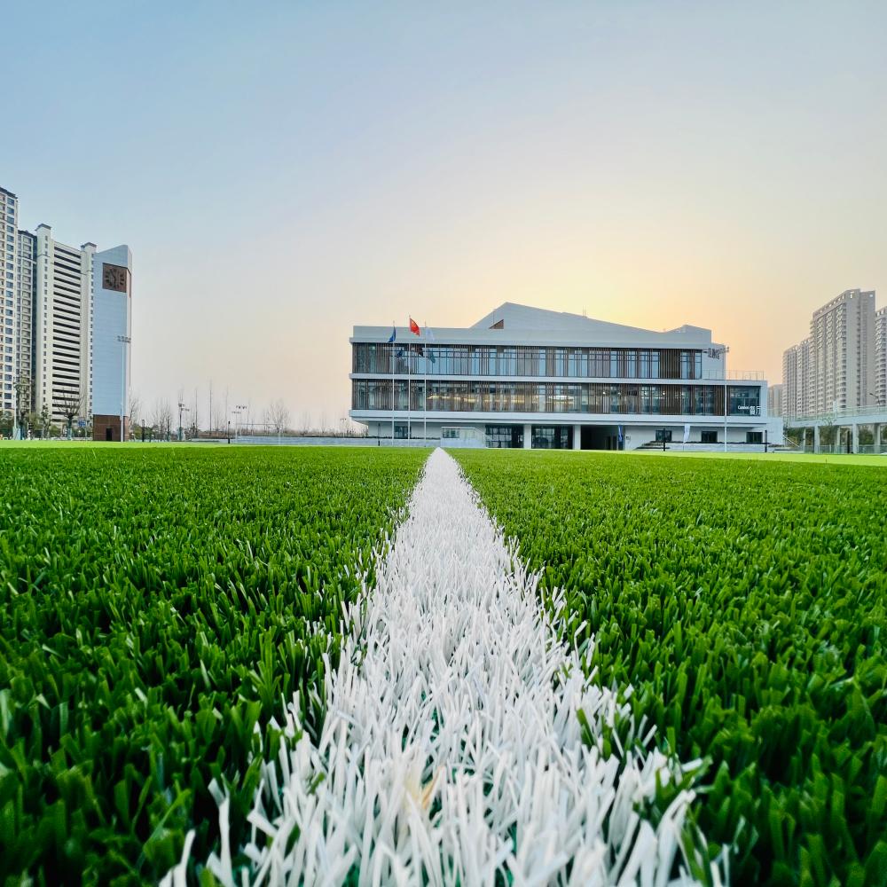 Football grass  S45016V6A-ZZA