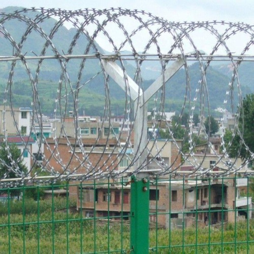 Galvanized Razor Wire High quality anti-climb razor wire for direct sale Manufactory