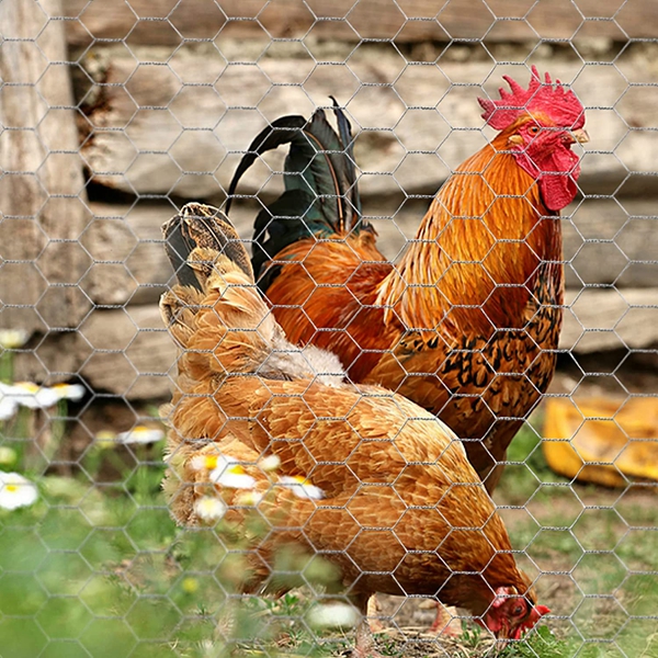 Sechseckel -Drahtnetz aus rostfreiem Stahl