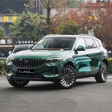 Chinese EV NEW Energy Vehicles 4WD Extended Range 2023 2024 Model Dongfeng Voyah Free