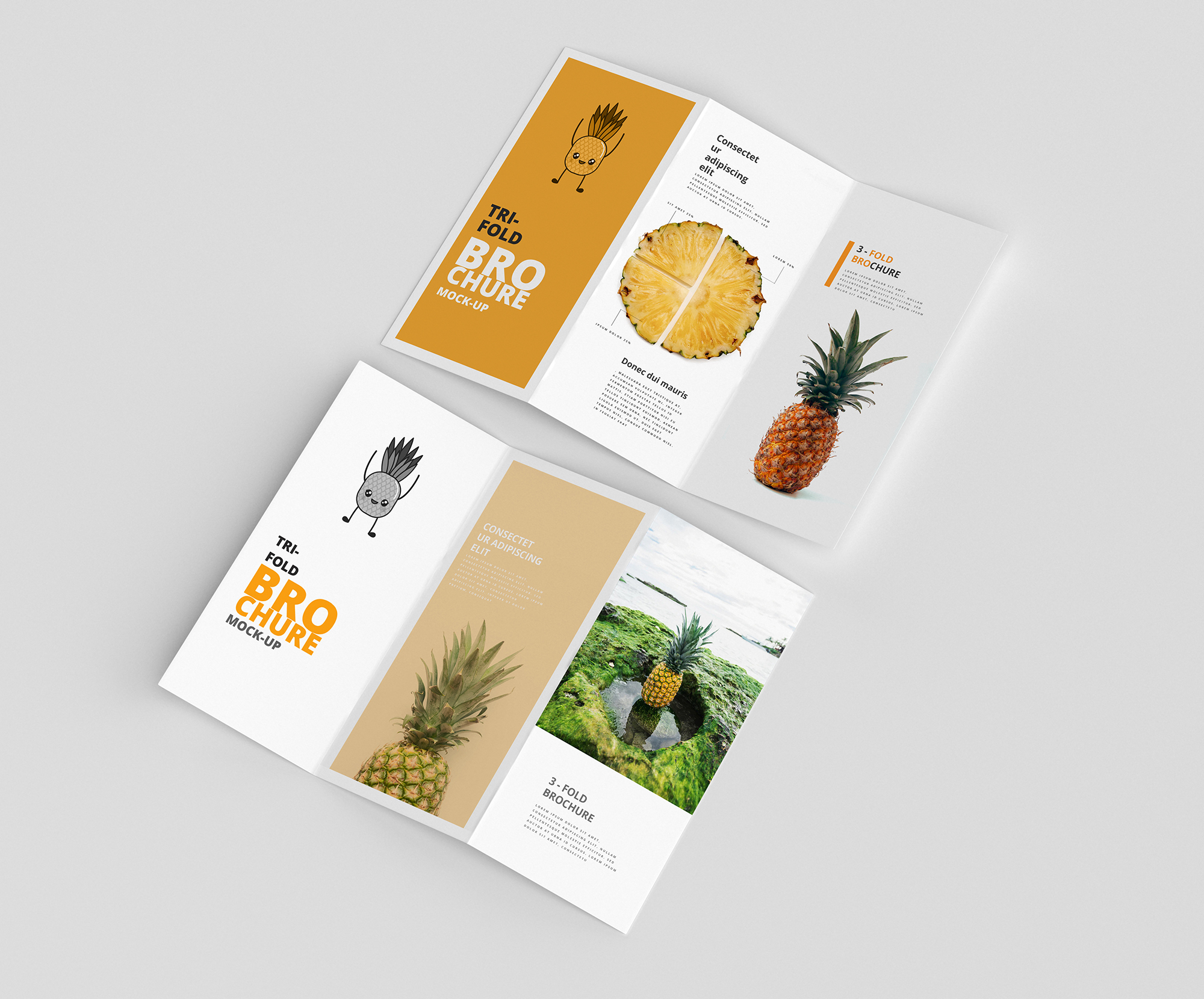 Idéias profissionais de design de brochura Tri-Fold