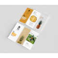 Idéias profissionais de design de brochura Tri-Fold