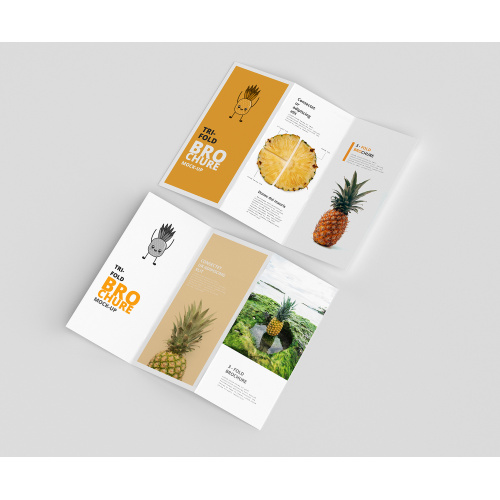 Idéias profissionais de design de brochura Tri-Fold