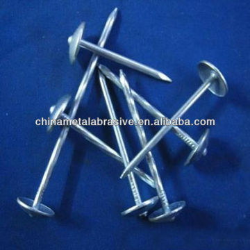 Galvanized Umbrella Head Roofing Nail(factory)