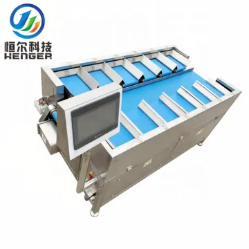 Automatic Multihead Combination Weigher Weight Check and Packing Machine