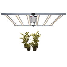 Professional Grow Lights For microgreens