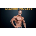 Продать YK-11 MK 2866 GW501516 SARMS Capsules