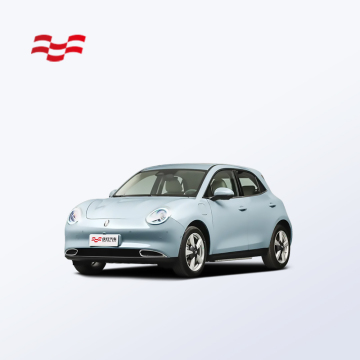 Hot Sale 2023: Ora Good Cat - Pure EV Compact Sedan with 501km Range