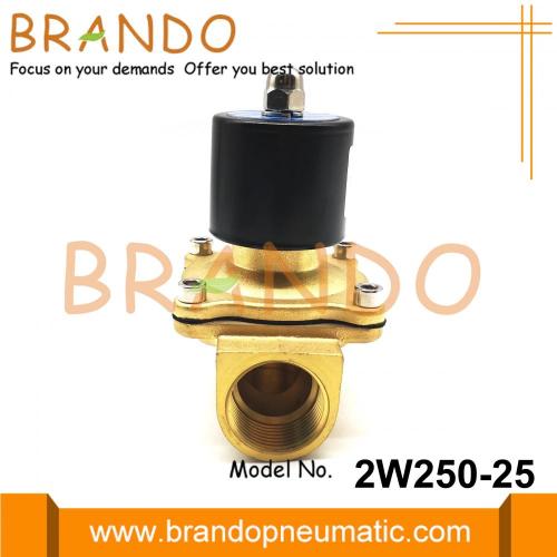 2W250-25 UW-25 Su Solenoid Valfı 1 &#39;&#39; İnç