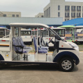 Closed 8-seat petrol sightseeing car