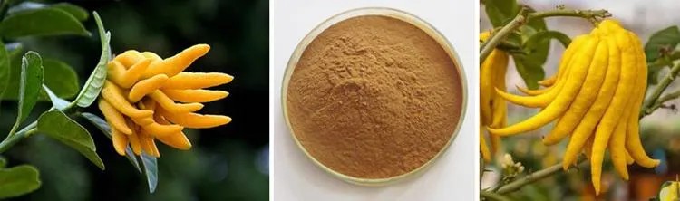 Bergamot Extract.2