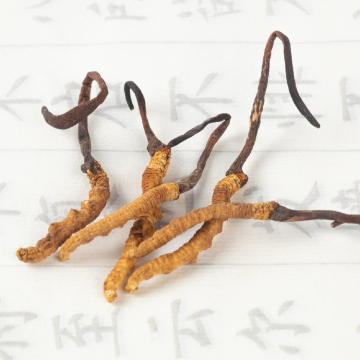 Toptan Cordyceps Militaris Oligopeptid Tozu