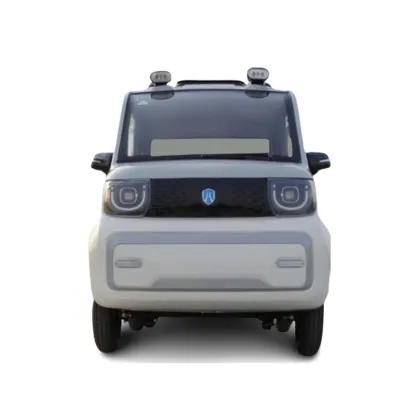 Haibao Cao Mei New Energy Electric Motorcycles and Scooters: Customizable Options with Lithium Batteries