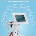 Spray Water Oxygen Ultrasonic Facial Cleansing Machine