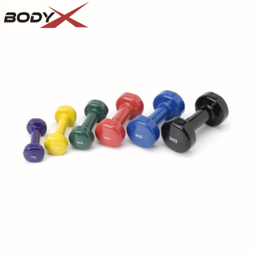 Vinylbeschichtete Hanteln für Fitness -Enthusiasten